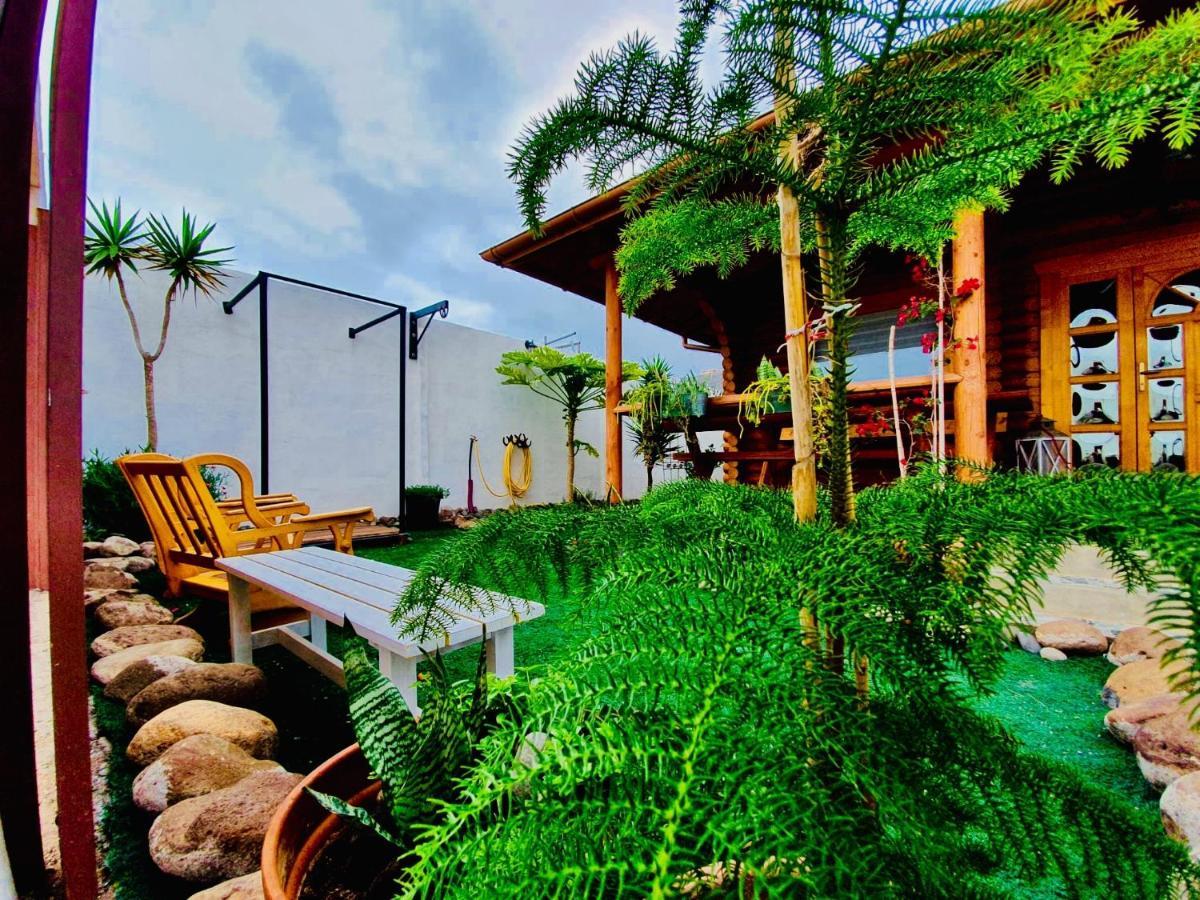 Wild House Holiday home